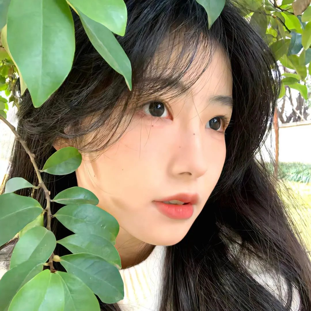 花颜御貌